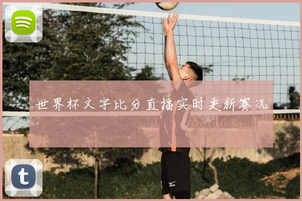 世界杯文字比分直播实时更新赛况