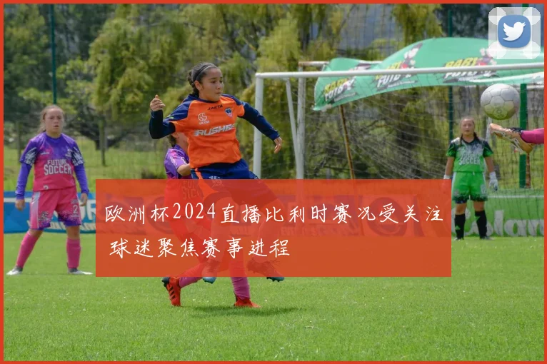 欧洲杯2024直播比利时赛况受关注 球迷聚焦赛事进程
