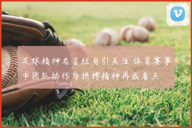 足球精神名言短句引关注 体育赛事中团队协作与拼搏精神再成看点
